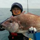 하얀산호 민박 이미지