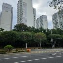 미메이드 이미지