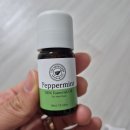 페퍼민트 | 거미 퇴치 더허브샵 에센셜오일 페퍼민트 후기