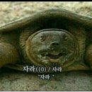 이비하 이미지