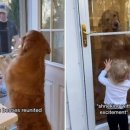 아기사랑어린이집 이미지