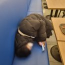(주)감자스위트