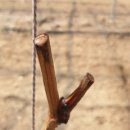 일비농장 이미지