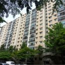 강남-151 이미지