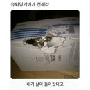 슈뢰딩거