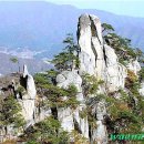 미륵목장 이미지