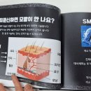 점찍다 이미지