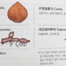 인경농장 이미지