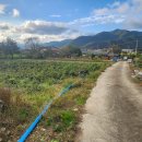 의곡초등학교 이미지