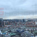 지하이시티 이미지