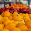 영광ic주유소 이미지