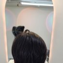 부산맥스웰피부과의원 이미지