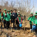 각동마을 이미지