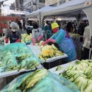 바로탄탄신경외과의원 이미지