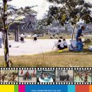 수원-1890 이미지