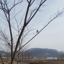 산우 농장 이미지