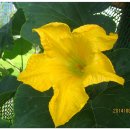 한강 자전거도로8 이미지