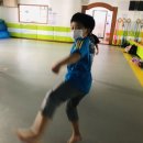 한양대 엘리트 태권도 이미지