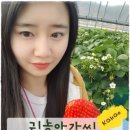 차령농장 이미지