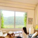 카드로 힐링하는 타로 이미지