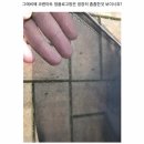 은아꽃캘리