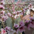 이종덕농장 이미지