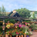 타샤의정원 이미지