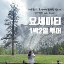 남성목장 | 샌프란시스코 요세미티 날씨 옷차림 1박2일 투어 후기 하프돔 보고 별 보이는 목장에서 낭만적인 하룻밤