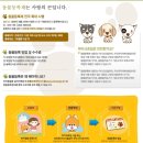 행신동물병원 이미지