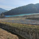 법전면사무소 이미지