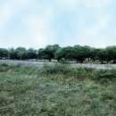 성주 성산관 이미지