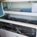 힘센장어구이 이미지