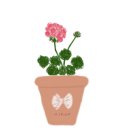 회야초등학교 이미지