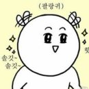 와우헤어 - 전주시 완산구 | 와우헤어