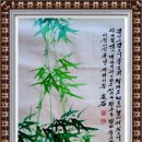 청죽