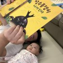 아이비북스작은도서관 | 우리아기 자연관찰 첫 전집 그레이트북스 놀라운자연 후기, 독후활동