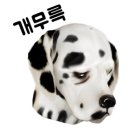 닥터호오 동물병원 이미지