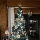 낙동놀자 이미지