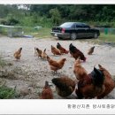 기역농장 이미지