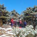 마당바위로 이미지