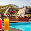 세모난나무 이미지