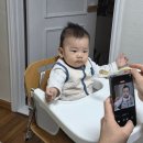 선우프레시 | 중기이유식 클레 시판이유식 추천 이유 : 7개월 10.5 키로 아기 이유식