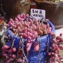 다육사랑화원 이미지