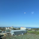 애월화룸 이미지