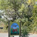 문화농장 | Indiana Fort Wayne Pumpkin Patch🎃 Hilger Family Farm 후기 / 인디애나 포트웨인 가을 농장 체험기