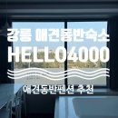 Hello | 강릉 애견동반숙소 HELLO4000 후기 | 사천해변 신축 펜션 스파욕조 노키즈존