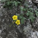 자유의집 이미지