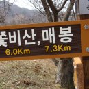 섬진강봄소식 이미지