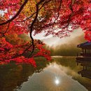 내장산관광안내소 이미지