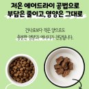 씨이티 | iti 이티 에어드라이 강아지 사료 솔직 후기 (+구매링크)